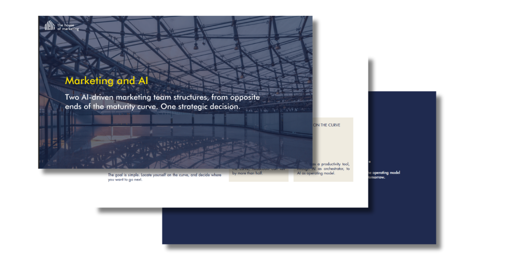 picture AI Marketing blueprints